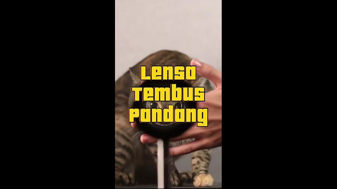 Lensa tembus pandang