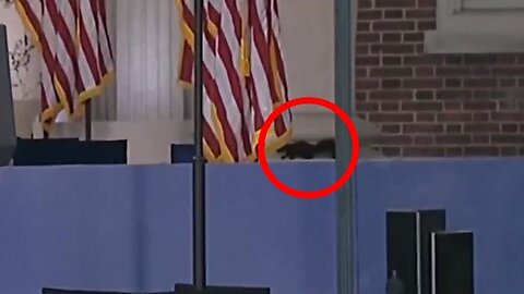 A SQUIRREL showed up at Kamala Harris' concession speech location