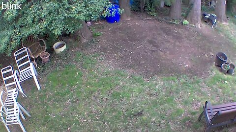 2_SOUTH_FLOODLIGHT_VIDEO_CAM_2023-04-08T16_11_07-0400.mp4