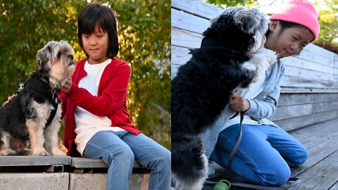 Cutipie With Cute Dog Puppy 😍