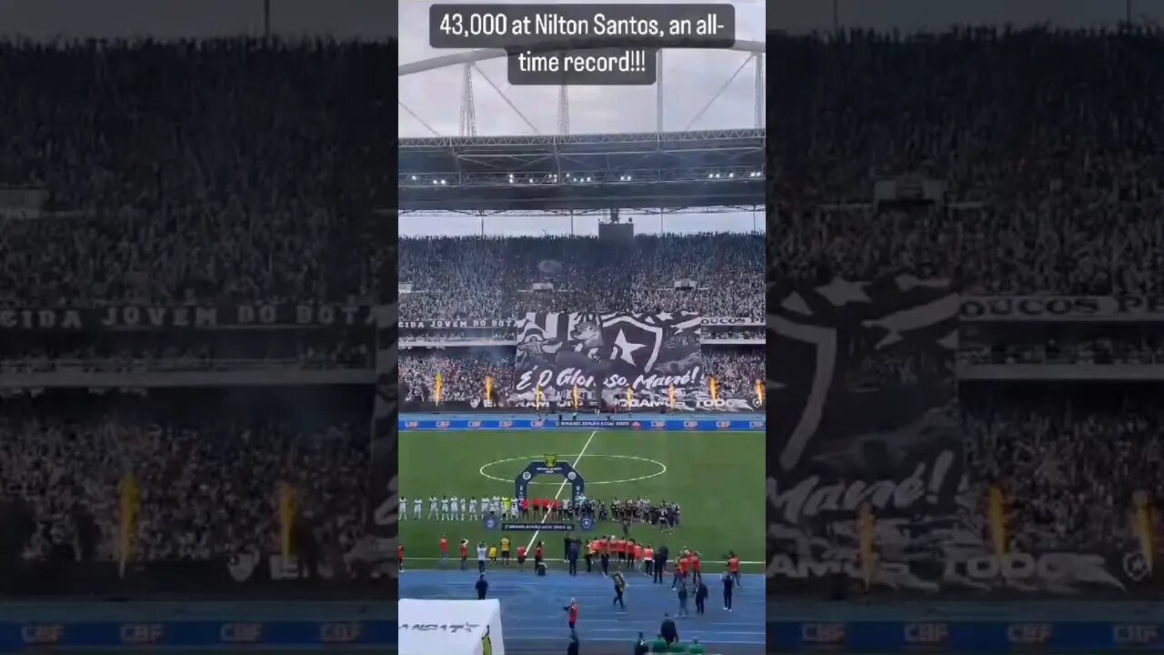 😱🔥QUE FESTA! A ENTRADA DO BOTAFOGO EM CAMPO DÁ MAIS UM SHOW! #botafogo #brasileirão #segueolíder