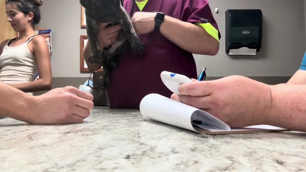 LonelyCreek Finny litter health papers and a bit of a discussion about Stephen King 8-11-23￼