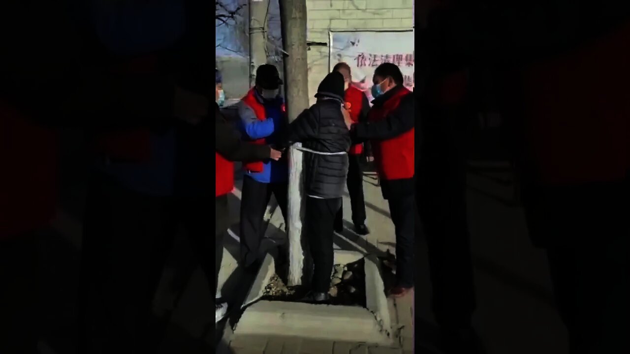 Man Tied to Tree For Breaking Lockdown Rules in Shijaingzhuang, China 石家莊防疫新招：將出門者捆在樹上