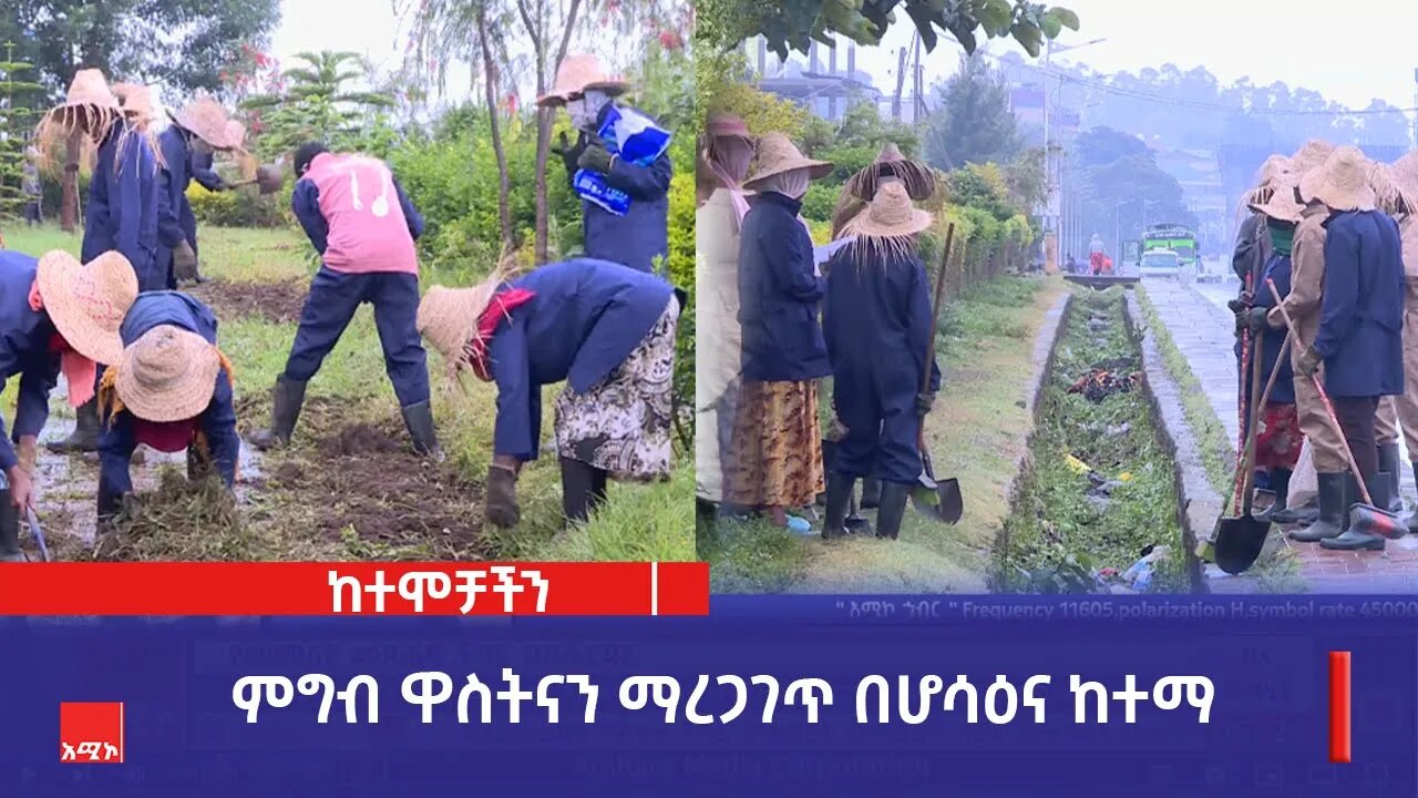 ምግብ ዋስትናን ማረጋገጥ በሆሳዕና ከተማ