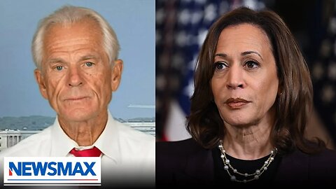 Peter Navarro: Kamala Harris 'has done damnable things' to this country