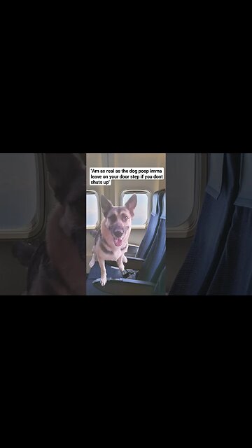 Woman Accuses Passenger of Not Being Real Person