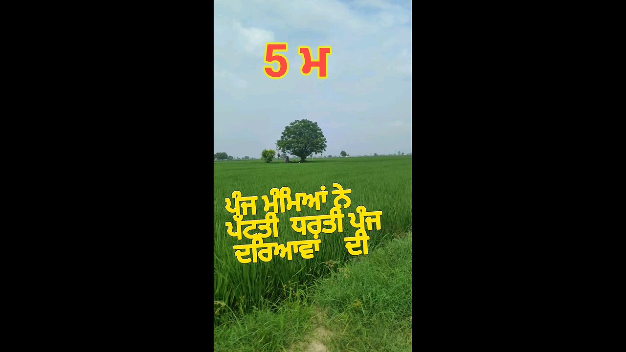5 ਮ ਨੇ ਪੱਟਤੀ ਧਰਤੀ ਪੰਜ ਦਰਿਆਵਾਂ ਦੀ