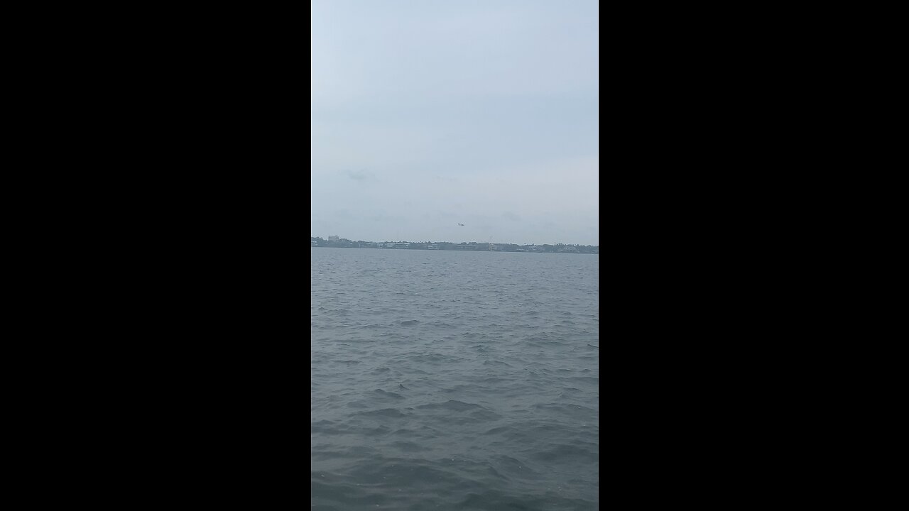 Icon A5 Seaplane Lands & Takes off