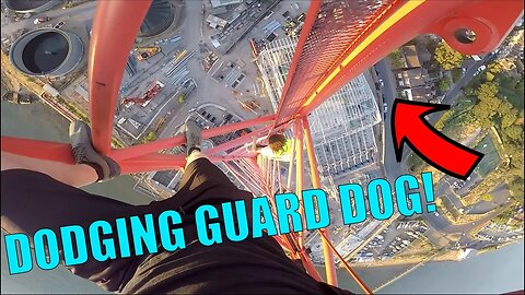 DODGING GUARD DOGS & SECURITY ON CRANE CLIMB