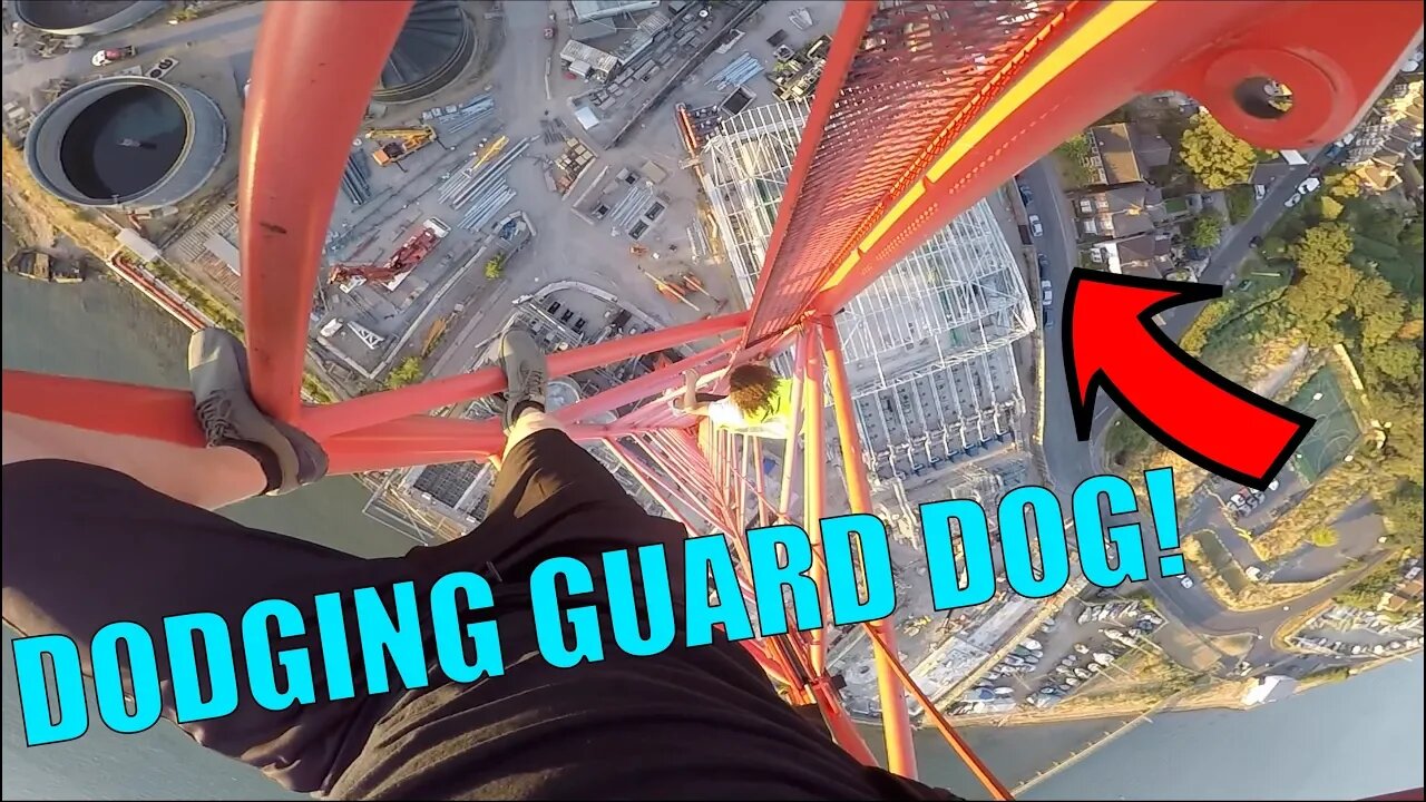 DODGING GUARD DOGS & SECURITY ON CRANE CLIMB