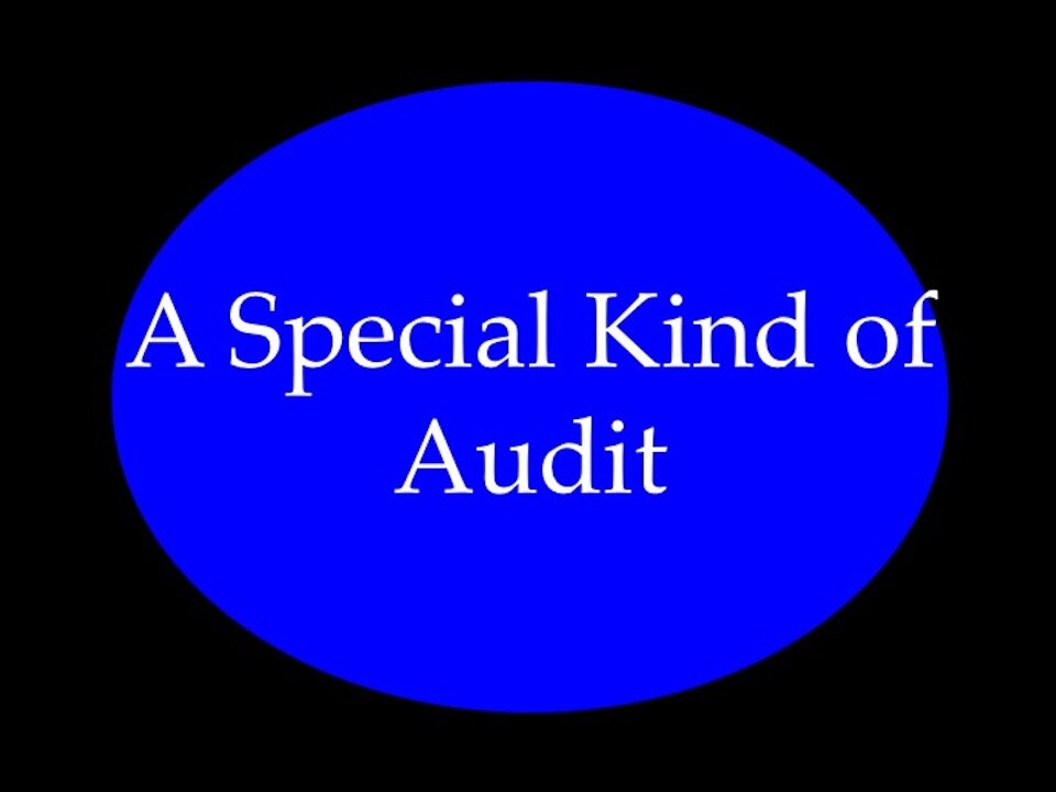 A Special Kind of Audit