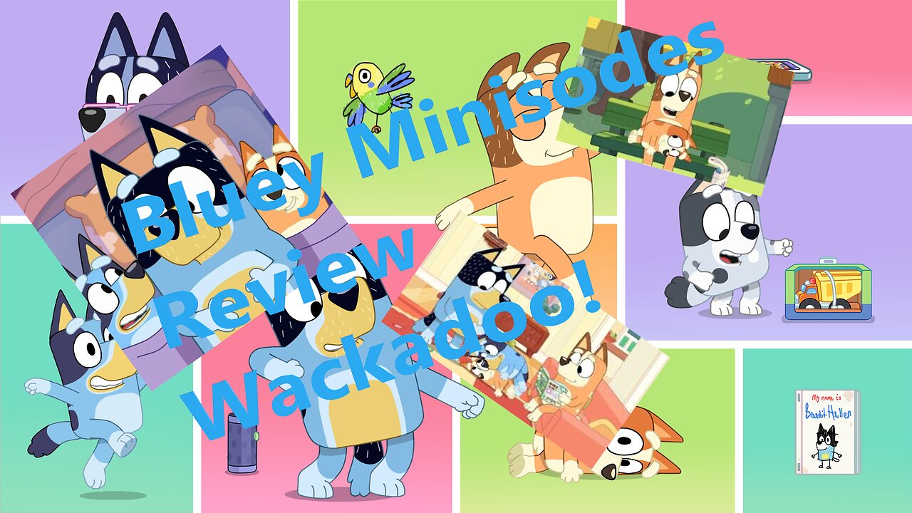 Bluey Minisodes Review Wackadoo!