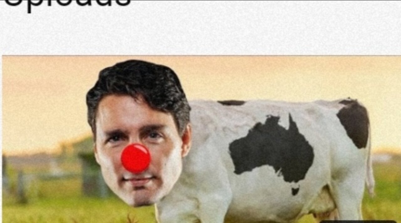 🤡 Justin Cow Trudeau 🐄