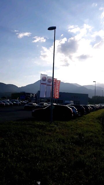 Hill of flowers in swiss alps