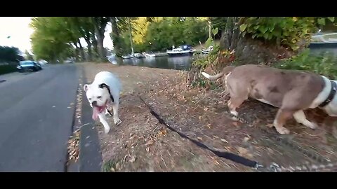 Winnie en Famke in Leeuwarden