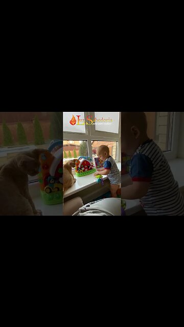 VIVA O AGORA, VIVA O PRESENTE