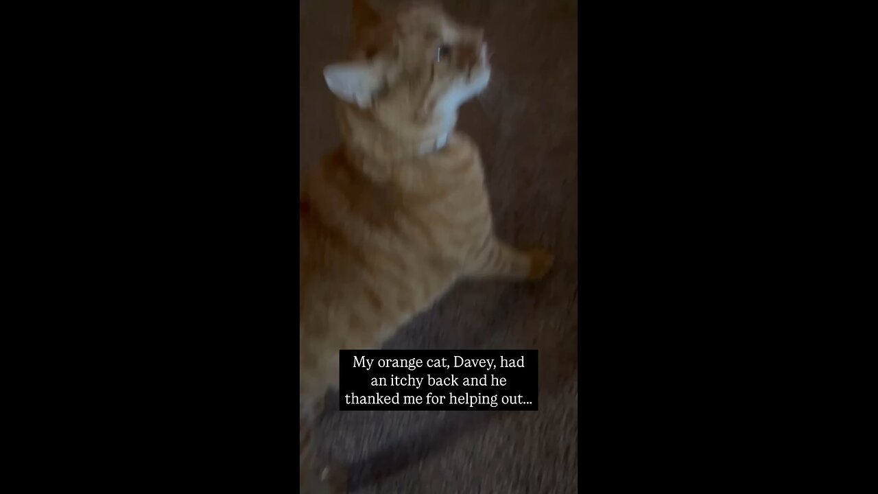 🎥