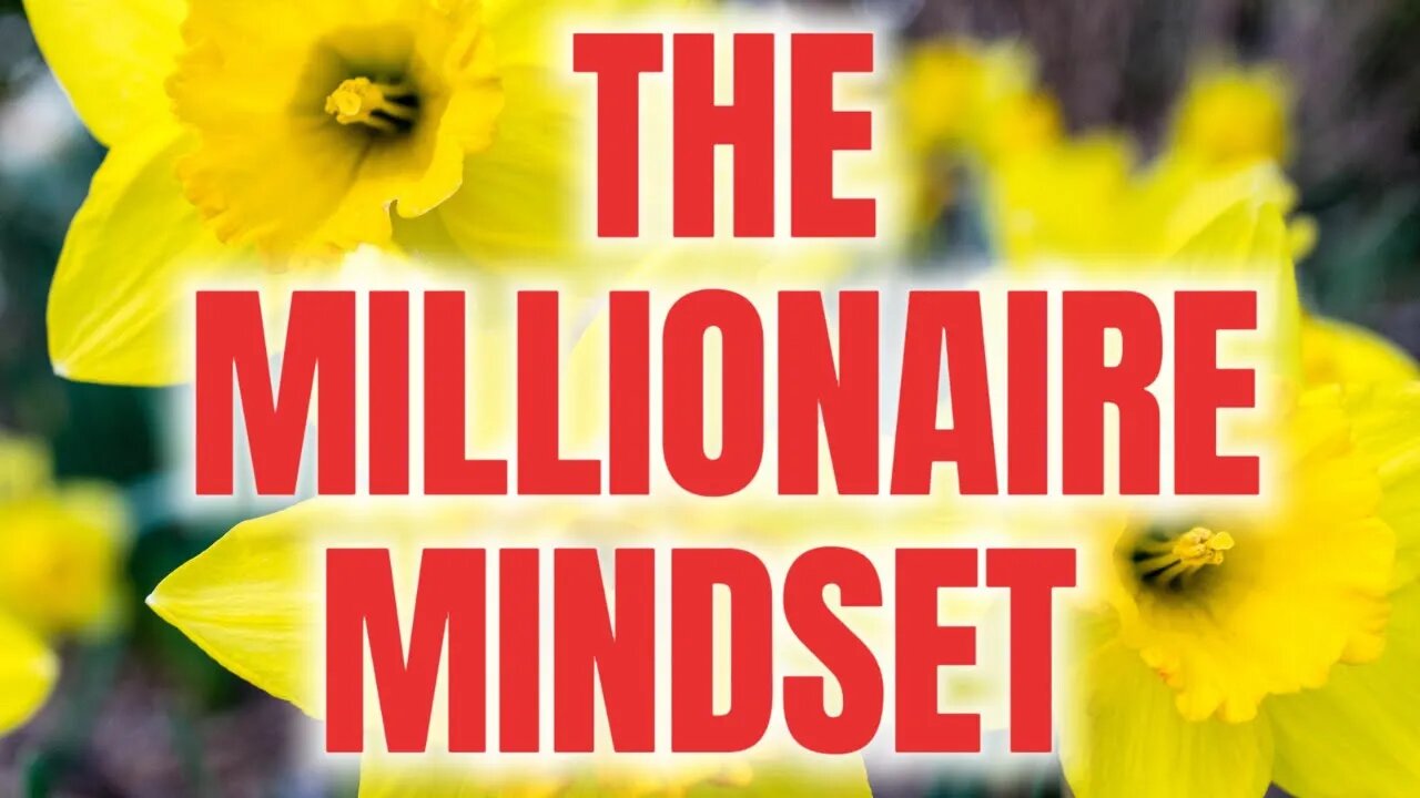 The Millionaire Mindset