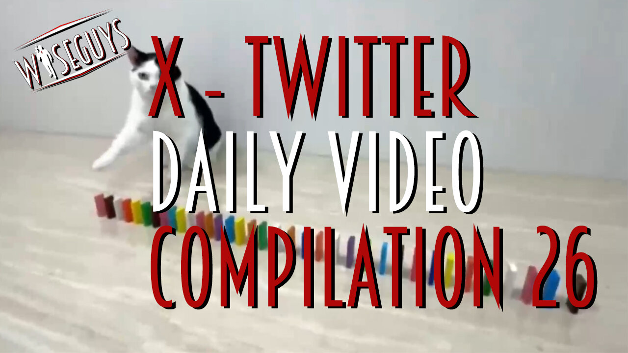 Daily crazy videos on X - Twitter compilation 26.