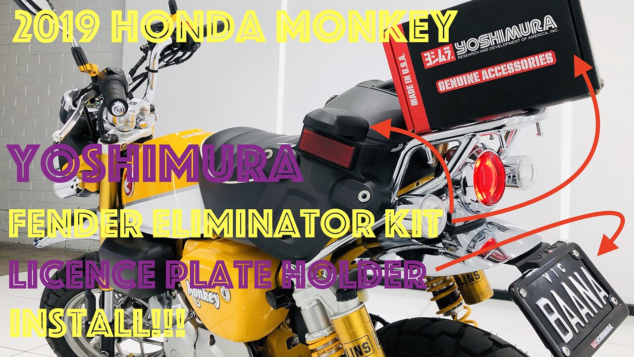 Honda Monkey 125 Yoshimura Fender Eliminator Install Guide!