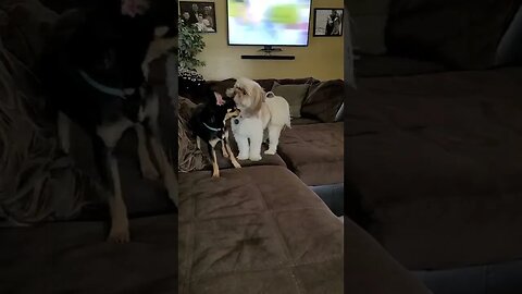 play time and trying to figure out how to take pic from video