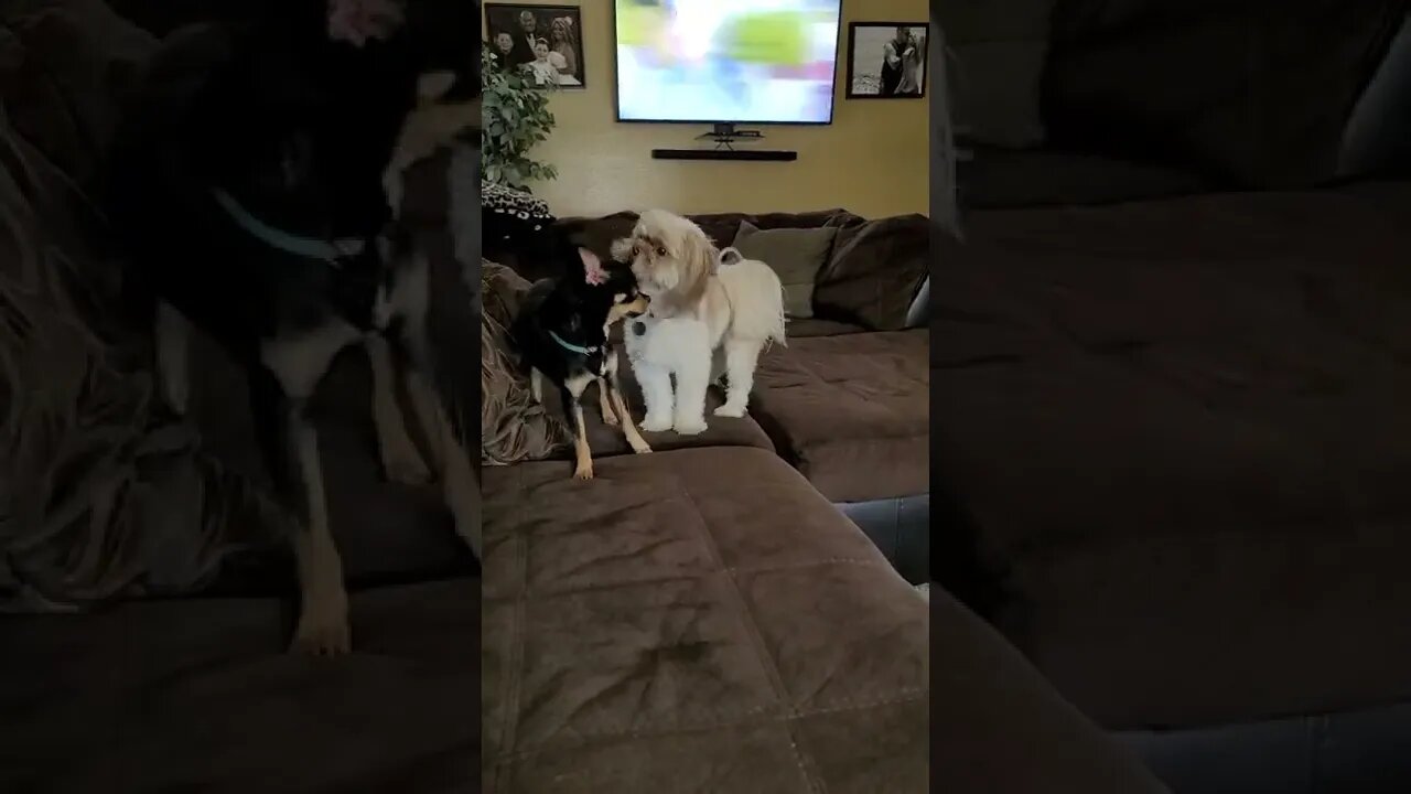 play time and trying to figure out how to take pic from video