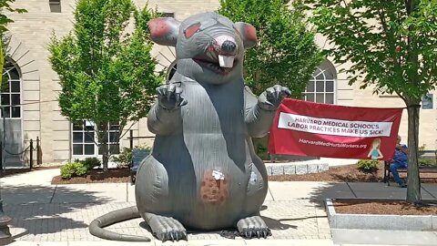 #HarvardMedhurtsworkers.org