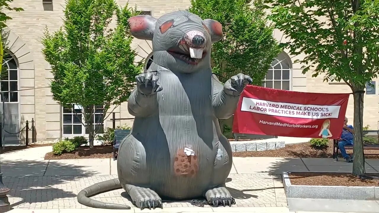 #HarvardMedhurtsworkers.org