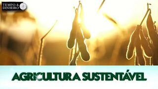 Agricultura Sustentável - com Frederico Olivi