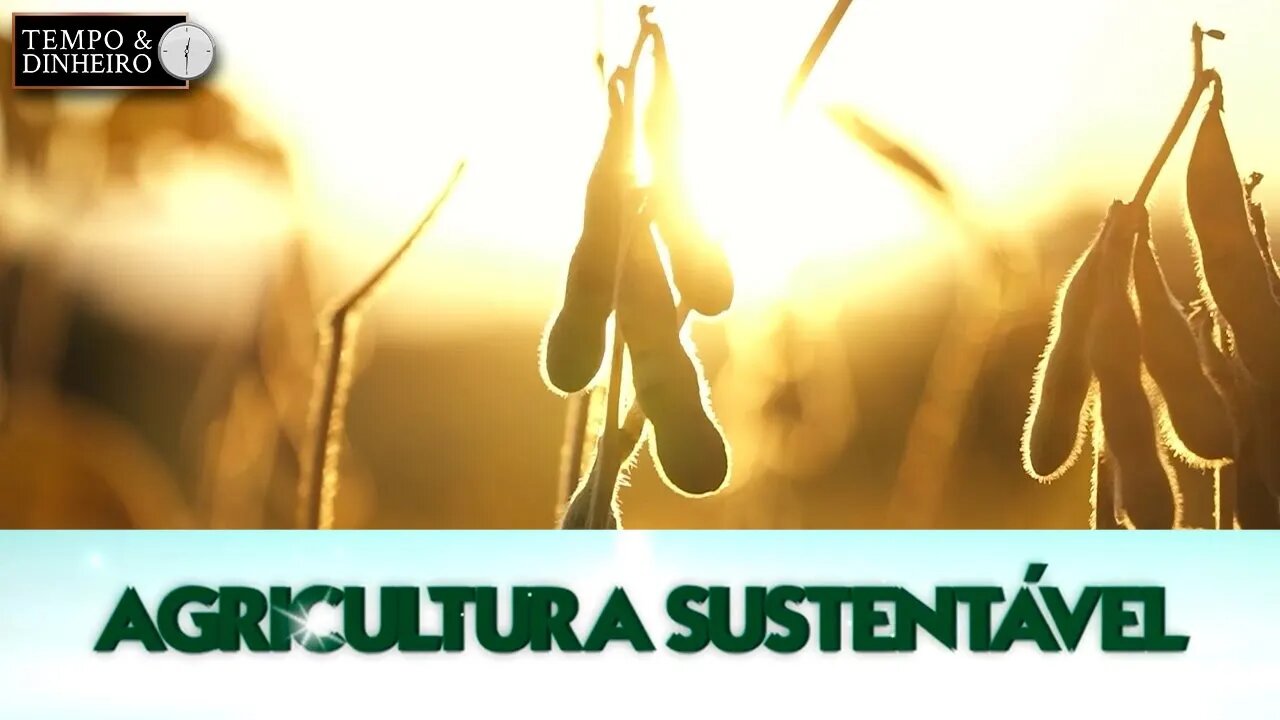 Agricultura Sustentável - com Frederico Olivi