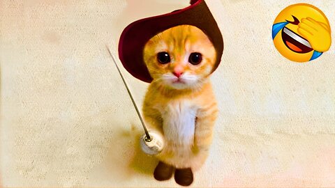 Funny Video Clips - 71 (Funny Animals)
