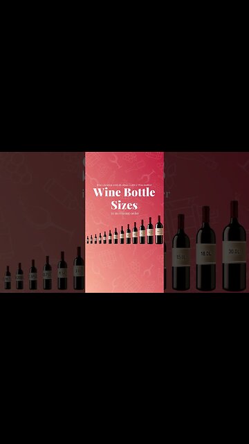 Wine bottle sizes in increasing order! 🍷🤗