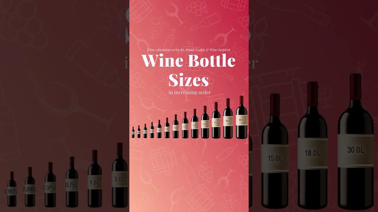 Wine bottle sizes in increasing order! 🍷🤗