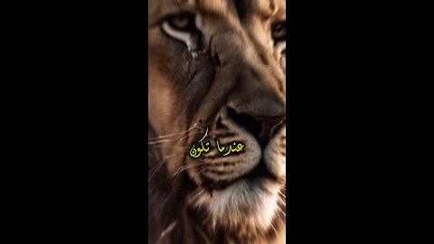 لا تنتظر شيئا من أحد ولا تعتمد على احد