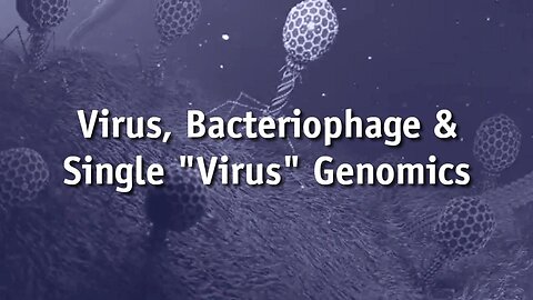 Virus, Bacteriophage & Single "Virus" Genomics | Dr. Sam Bailey
