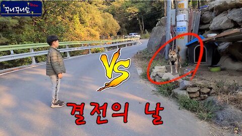 고난이도(?) 예봉산 정상 오르기 도~오전!!! 해발 683M (Mountain climbing) - 길목에서 마주친 개!!!