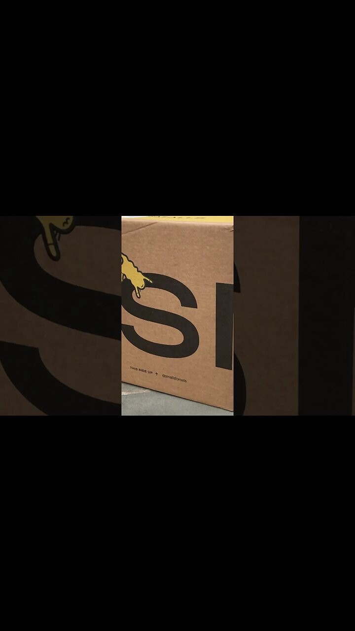 Best and easiest cat food #shorts