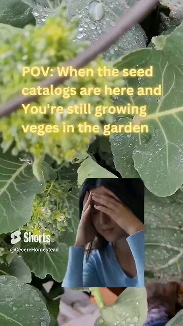 The January Struggle