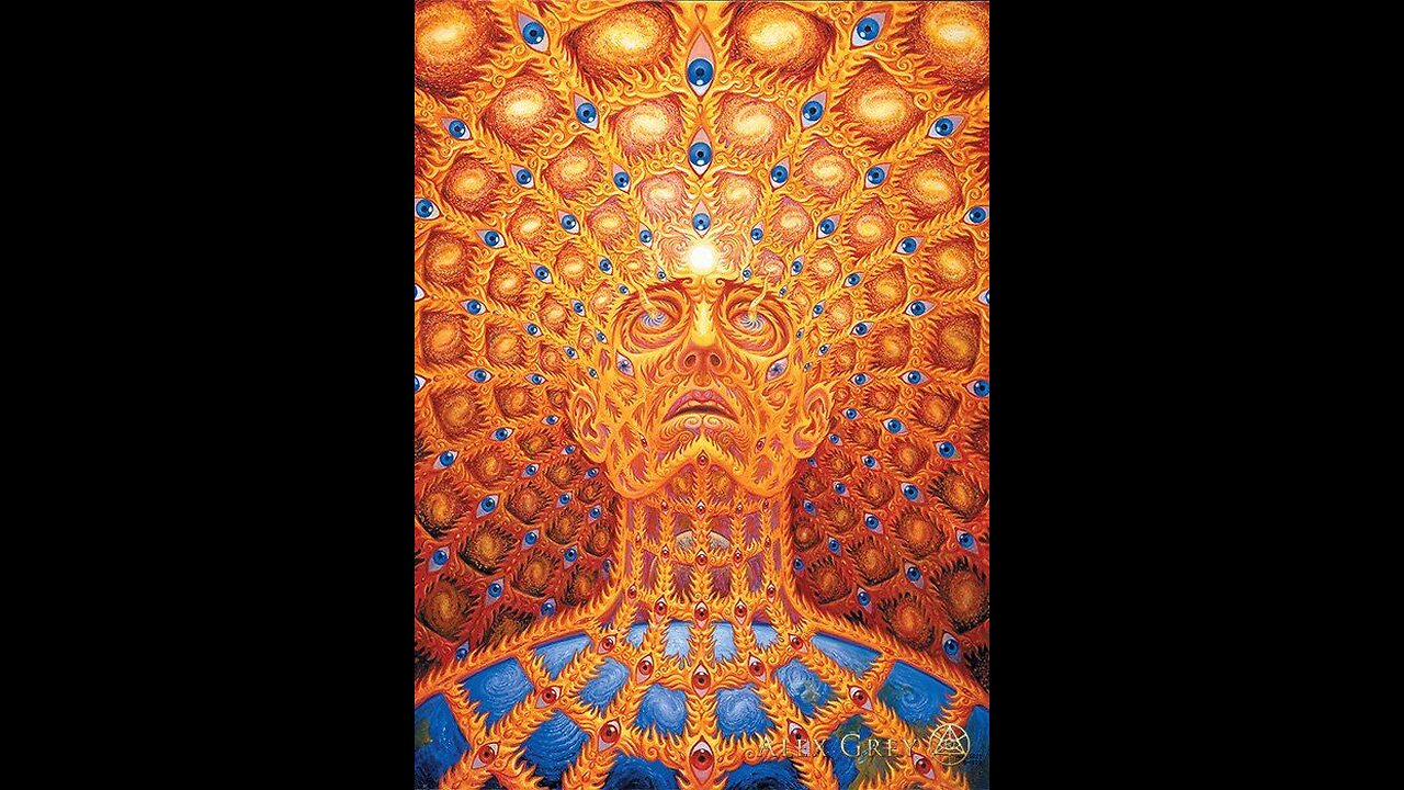 DMT Entity Encounters