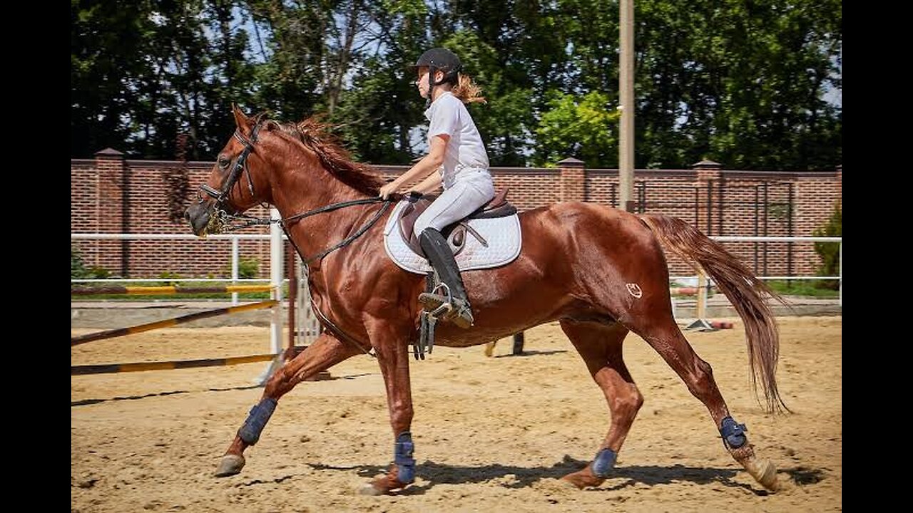 freedom lover girl horse riding