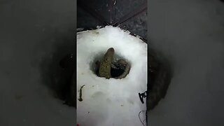 Doin it in reverse 😂