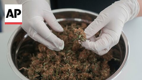 Brazilian moms lead the charge to secure medical marijuana for sick kids