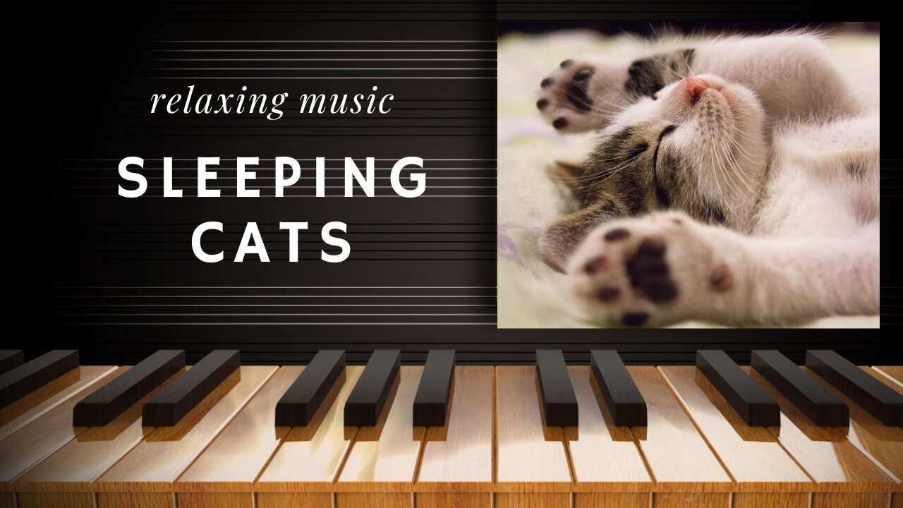 Cats will help you fall asleep - Best Relaxing Music for Deep sleep