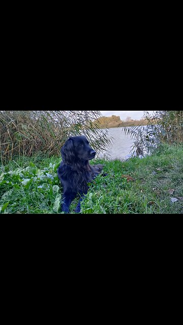 In The Mind of. 💫💫💫