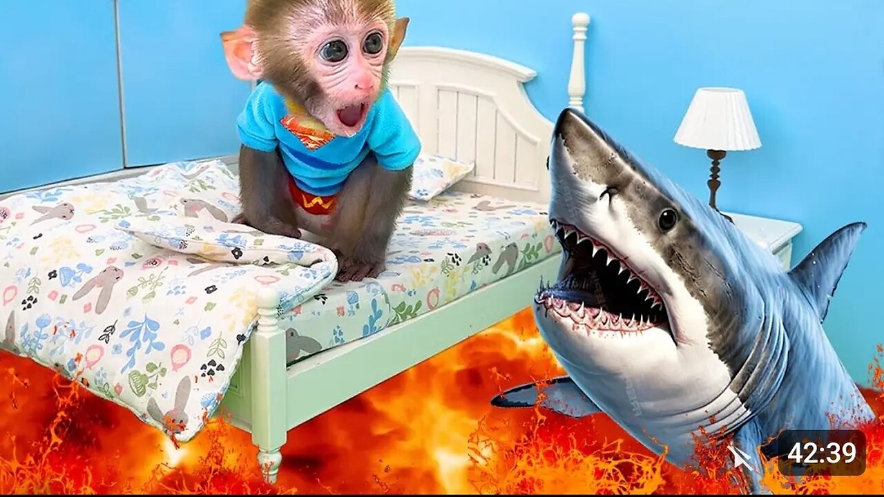 Monkey Baby Bon Bon goes shark fishing and eat