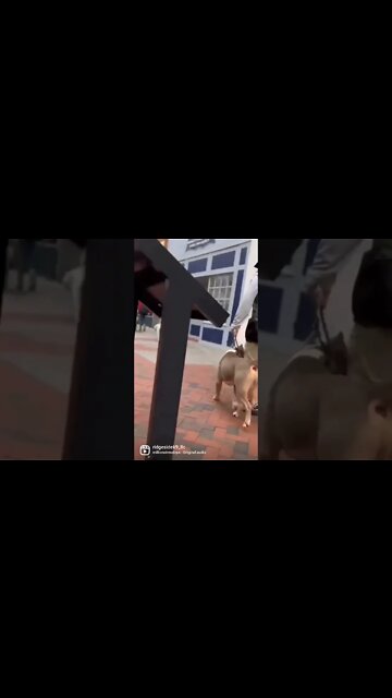 Never Be Afraid to Change