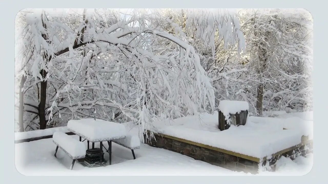 Snow 12 28 in Golden, CO