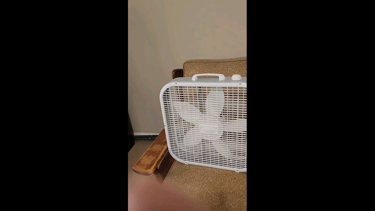 My Box Fan