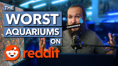 Worst Aquariums on Reddit EXPOSED by Expert Fish Keeper