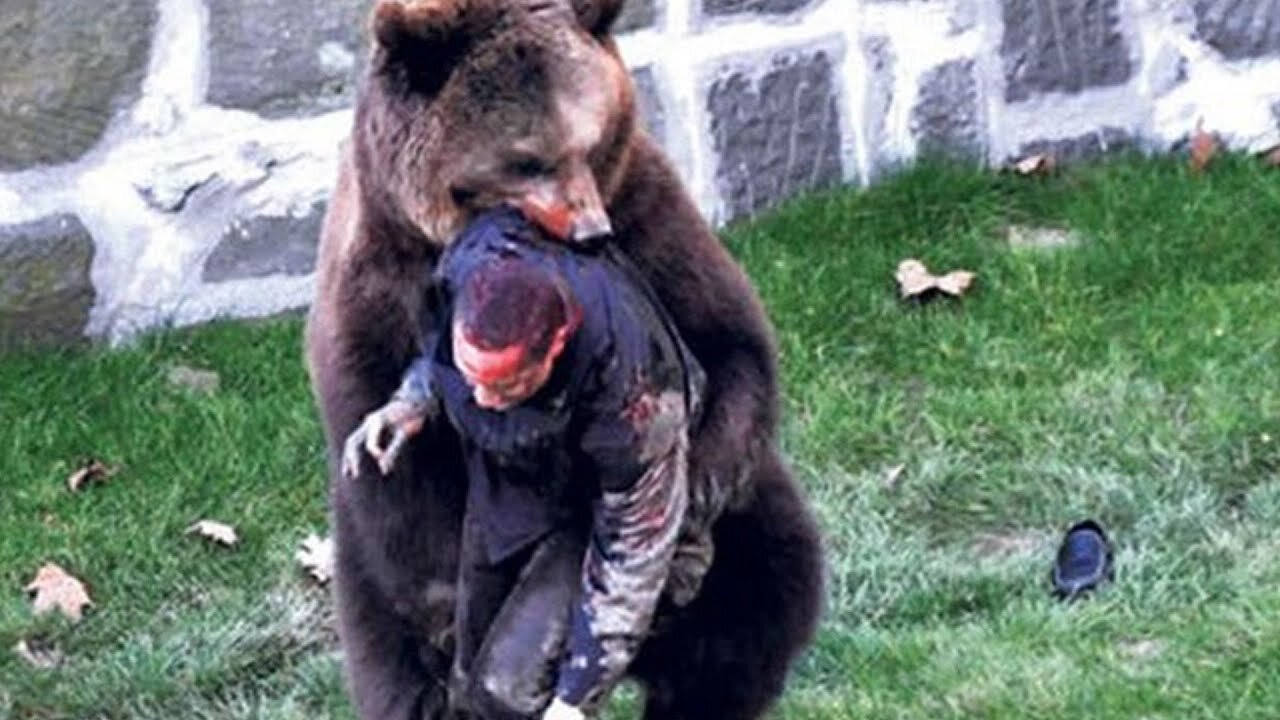 UNBELIEVABLE Bears Attack And Interaction CAUGHT ON CAMERA